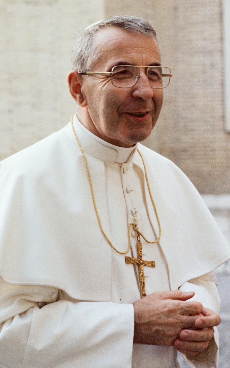 Storia della Causa di canonizzazione
